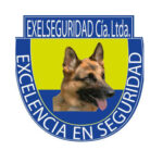 EXCELENCIA EN SEGURIDAD EXELSEGURIDAD CIA. LTDA.